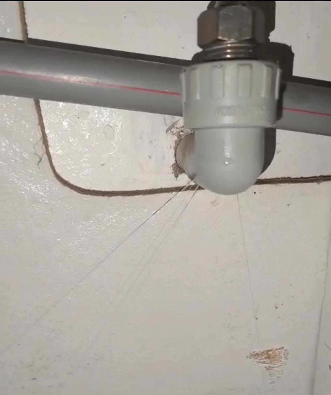 Grieta estructural por sismo en encuentro de muro y cielo raso